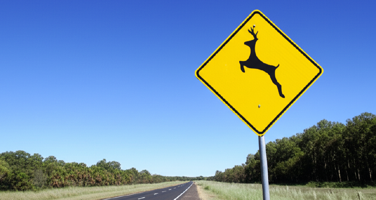 Placa de trânsito amarelo em forma de losango, com silhueta preta de um cervo saltando, indicando risco de animais na pista. Ao lado da placa, uma estrada com vegetação ao largo.